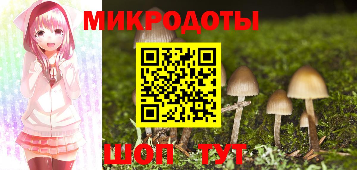 Псилоцибиновые грибы Psilocybe  Псилоцибиновые грибы GOLDEN TEACHER  Чайковский  где купить наркоту  Вход с VPN 