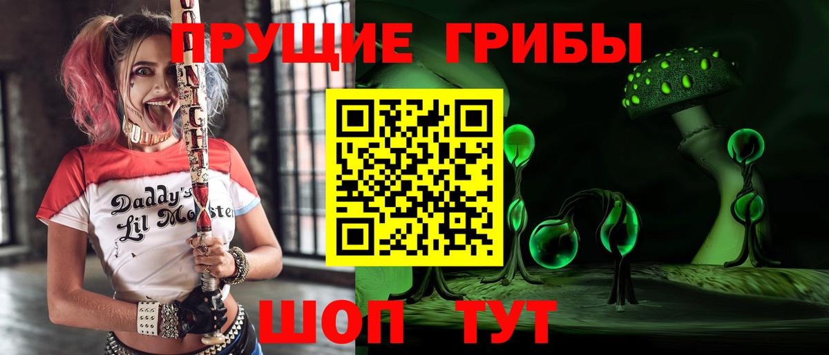 Псилоцибиновые грибы Psilocybe Чайковский